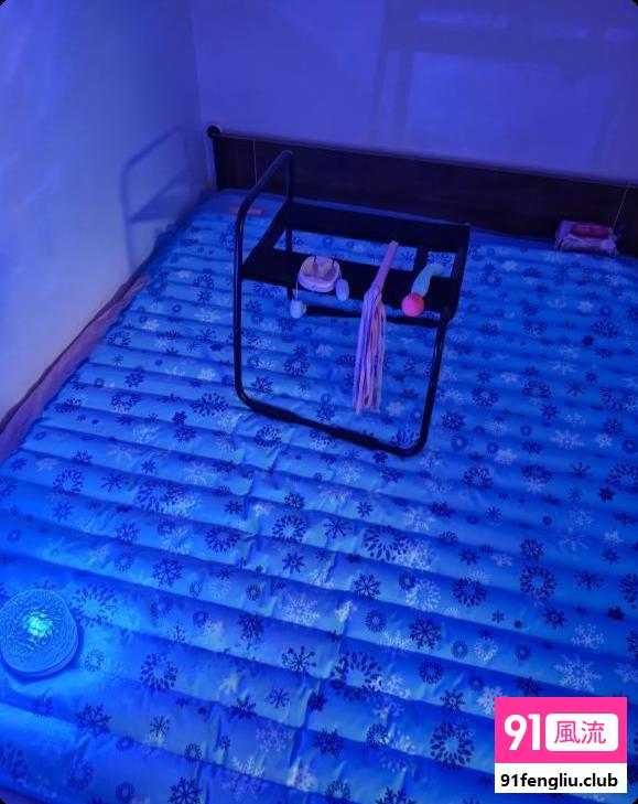 水床翘臀小刺猬